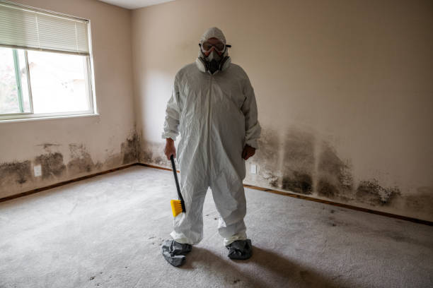 Professional Mold Remediation in Morgan, UT